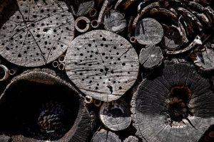 香港酒店自助餐的全面分析