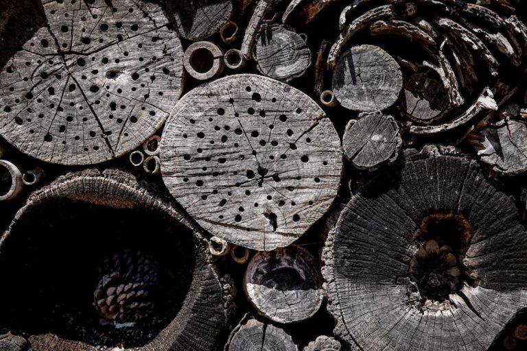 香港酒店自助餐的全面分析