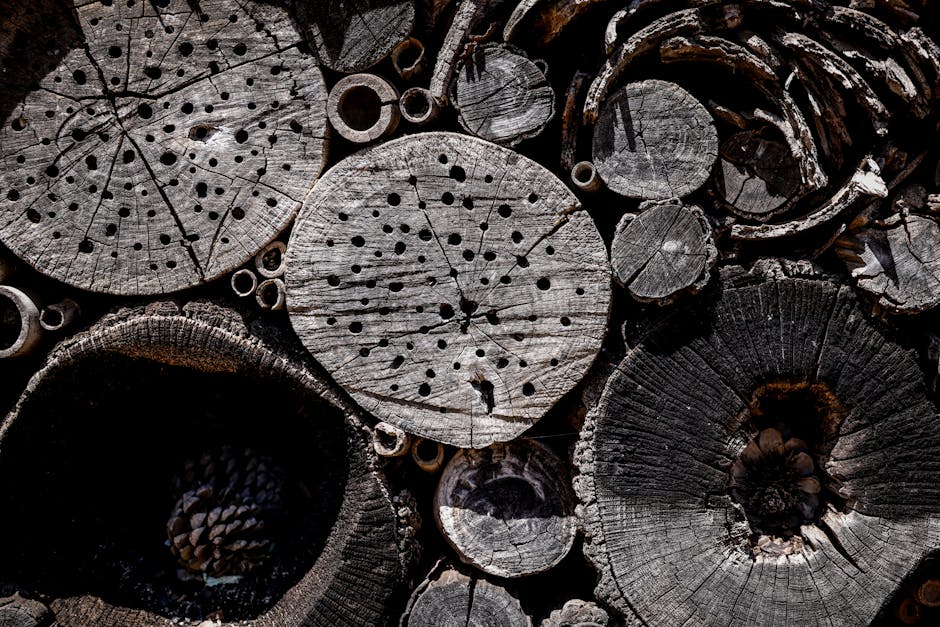 香港酒店自助餐的全面分析